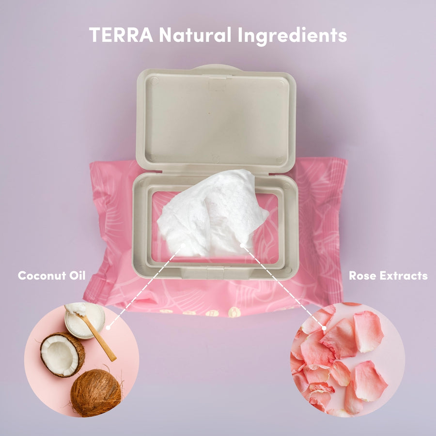 TERRA Mom & Baby Wipe Bundle