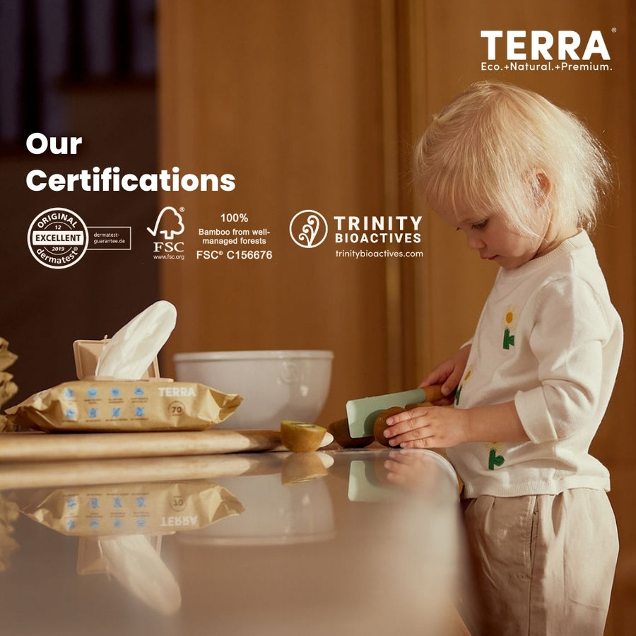 TERRA Pure Water Baby Wipes Mini Pack 10 Wipes