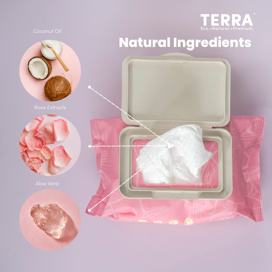 TERRA Baby Wipes & Makeup Remover Wipes Pack of 3
